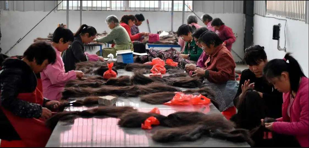 Wholesale Raw Hair Vendors Guide