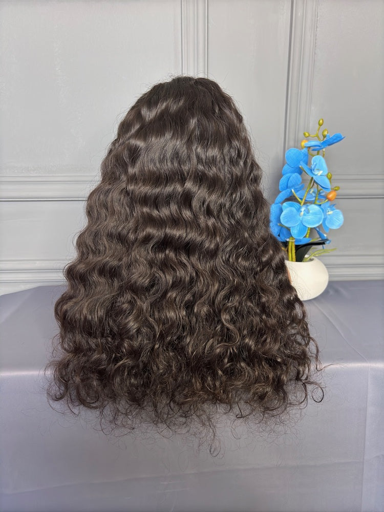 Raw Indian Curly Hair HD Lace Closure Wig 250%