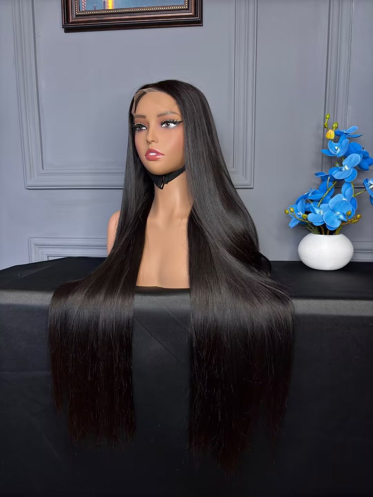Vietnamese Raw Hair Straight HD Closure Wig 250% – flowywig