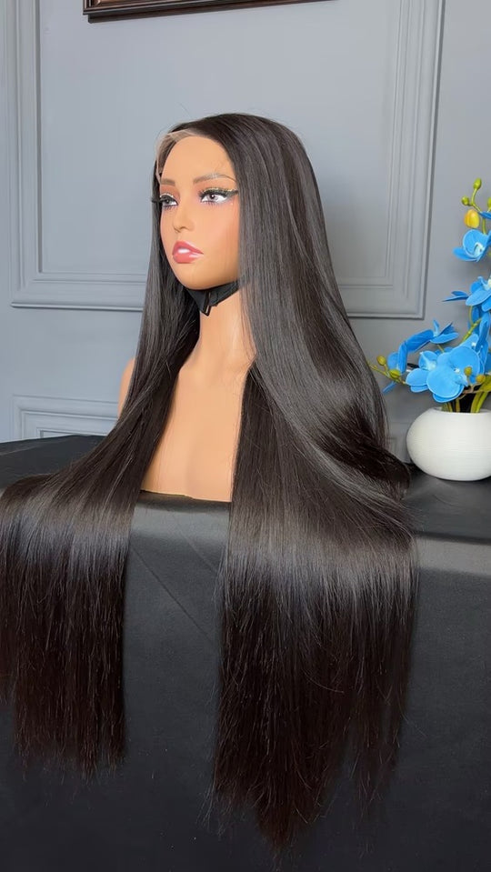 Vietnamese Raw Hair Straight HD Closure Wig 250%
