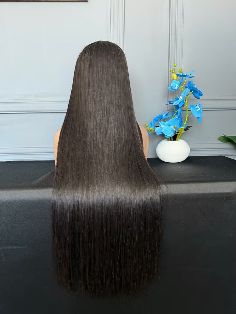 Vietnamese Raw Hair Straight HD Closure Wig 250%